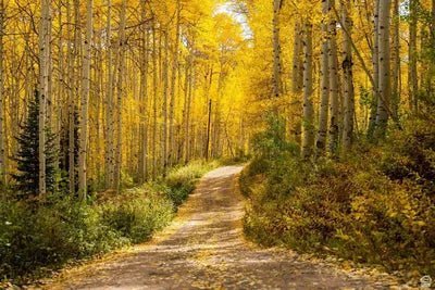 Well hello, October. - The Collective Park City