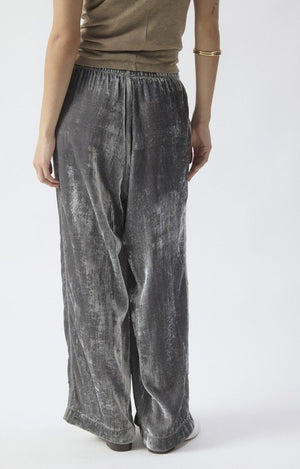 Ankaz Velvet Jogger - Mouse