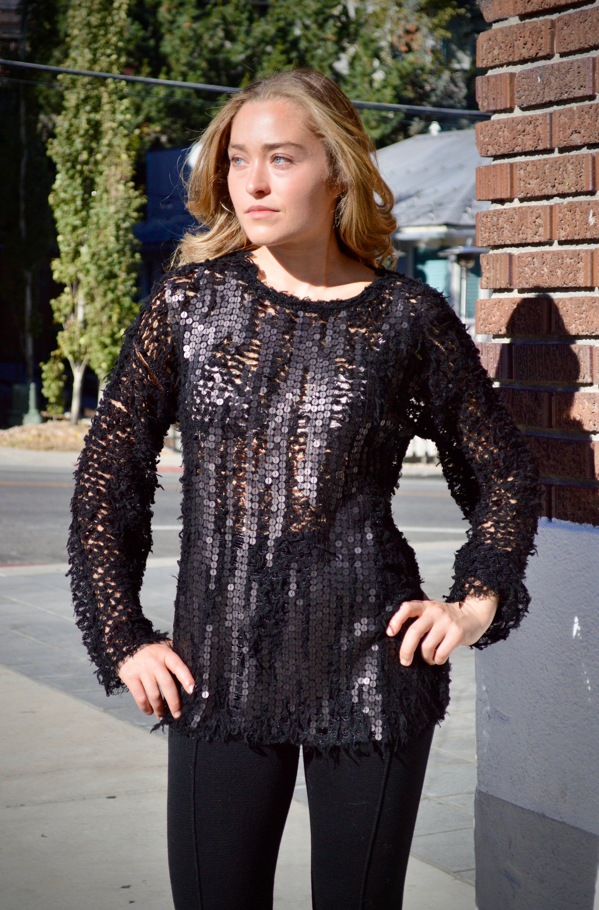 Knit & Sequin Sweater