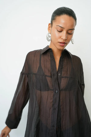 Sylvie Sheer Button Down Top