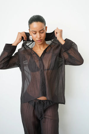 Sylvie Sheer Button Down Top