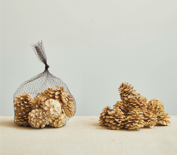 Dried Natural Pinecones