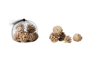 Dried Natural Pinecones