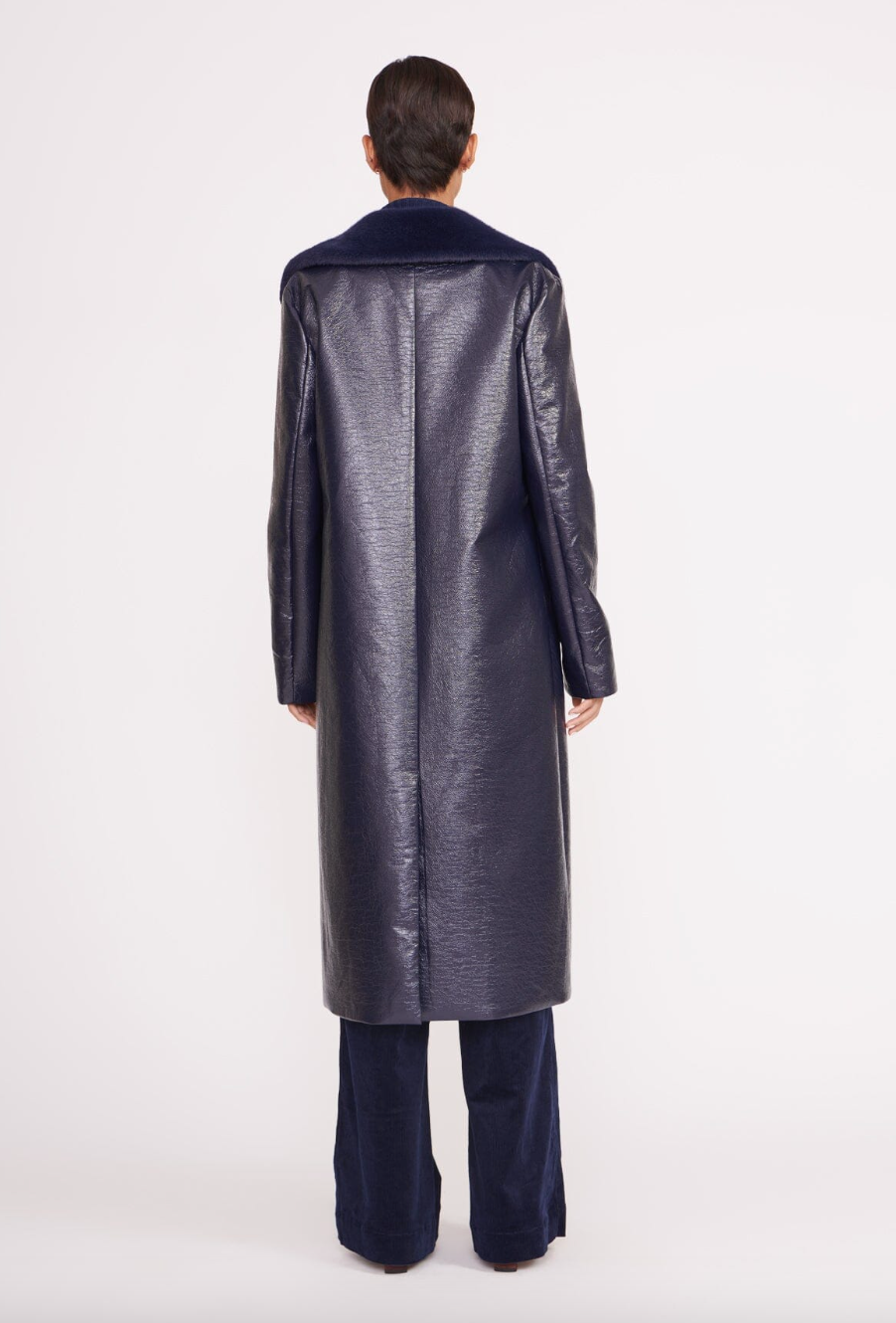 Varnishes Coat