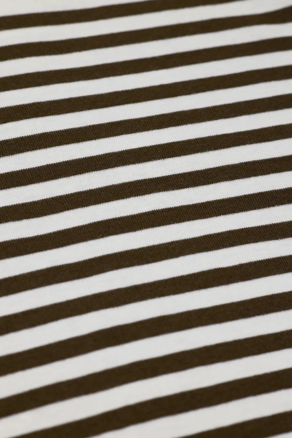 Basic Long Sleeve Tee - Marsh Green Striped - The Collective Park City