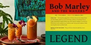 Booze & Vinyl Cocktail Book - The Collective Park City