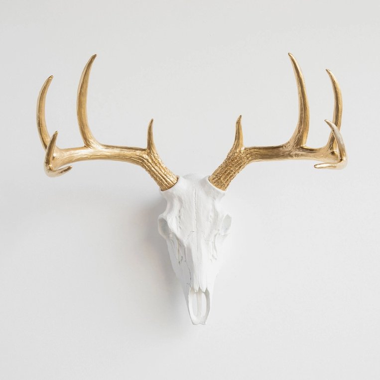 Deer Skull with Gold Antlers Wall Art - The Collective Park City