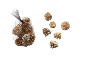 Dried Natural Pinecones - The Collective Park City