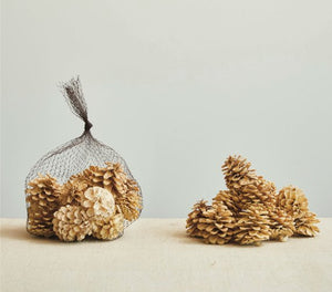 Dried Natural Pinecones - The Collective Park City