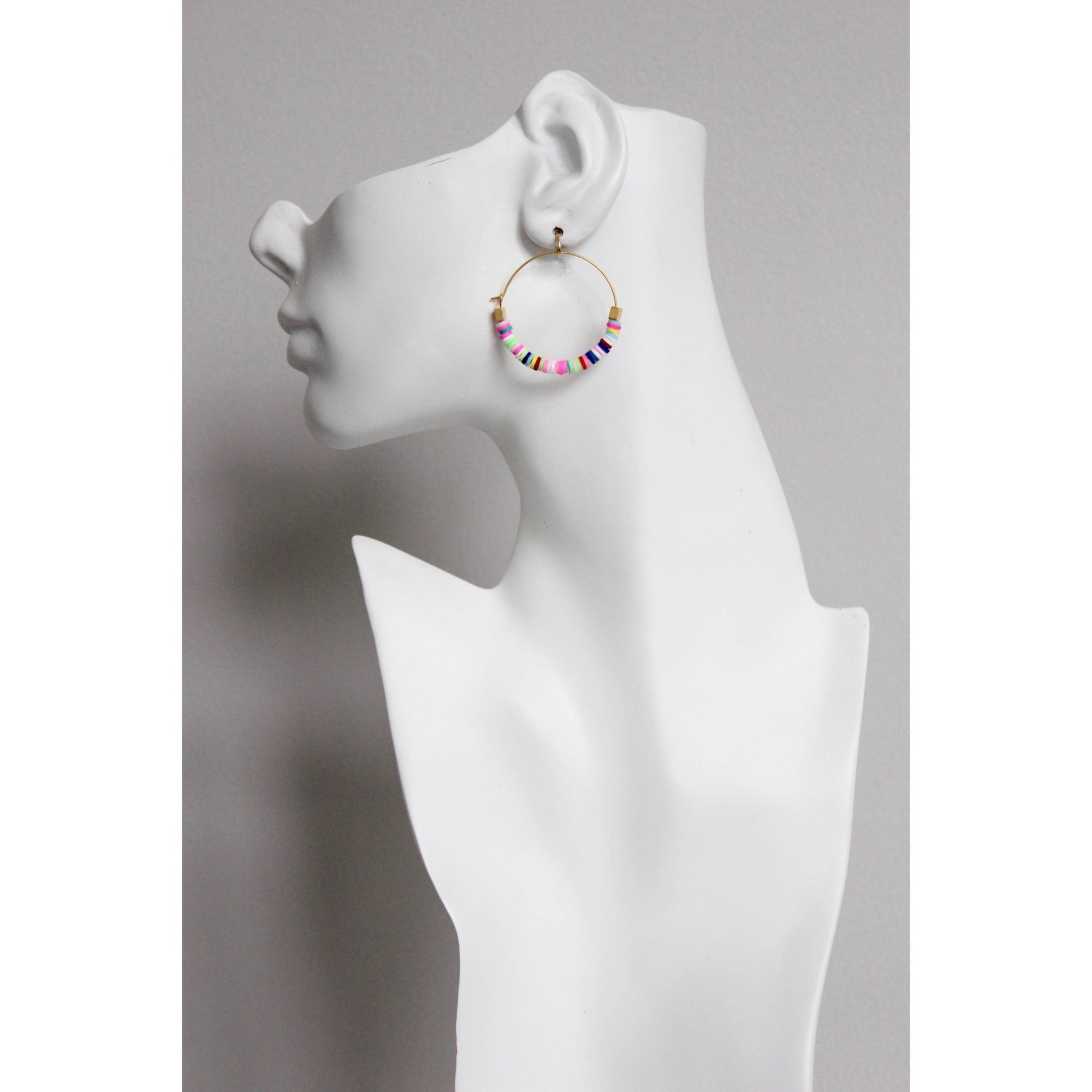 EMIE11 Rainbow hoop earrings - The Collective Park City