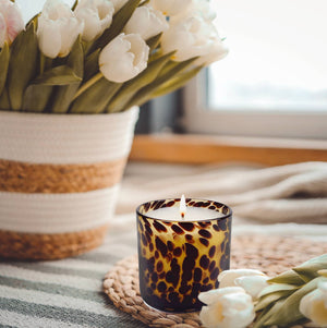Fig & Aged Oak Amber Tortoise Soy Blend Candle - The Collective Park City