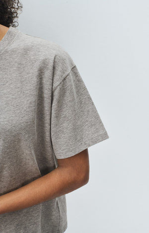 Fiz Valley Cotton T-Shirt - Grey - The Collective Park City
