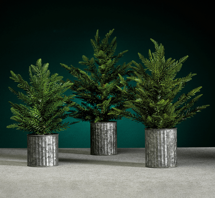 Galvanized Potted Pine Tree - 18" - The Collective Park City