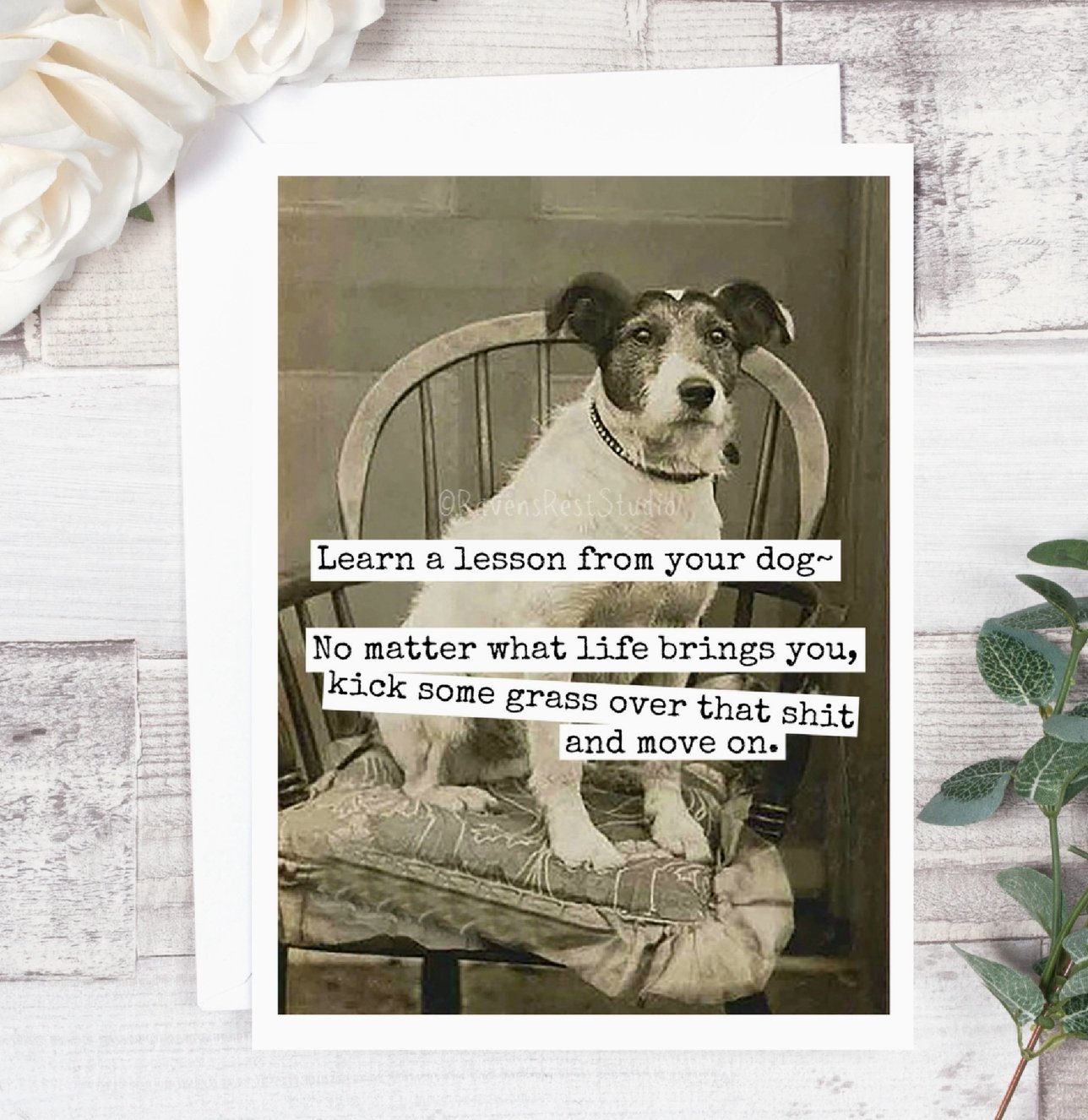 Greeting Card - Lesson from your dog - The Collective Park City