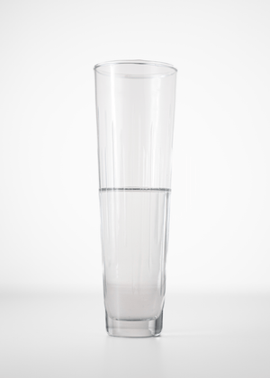 Hudson Champagne Flute - The Collective Park City