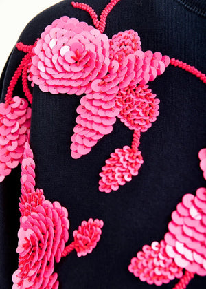 Jaga Embroidered Sweatshirt - The Collective Park City