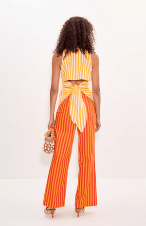 Loch Sleeveless Poplin Button Down Top - The Collective Park City