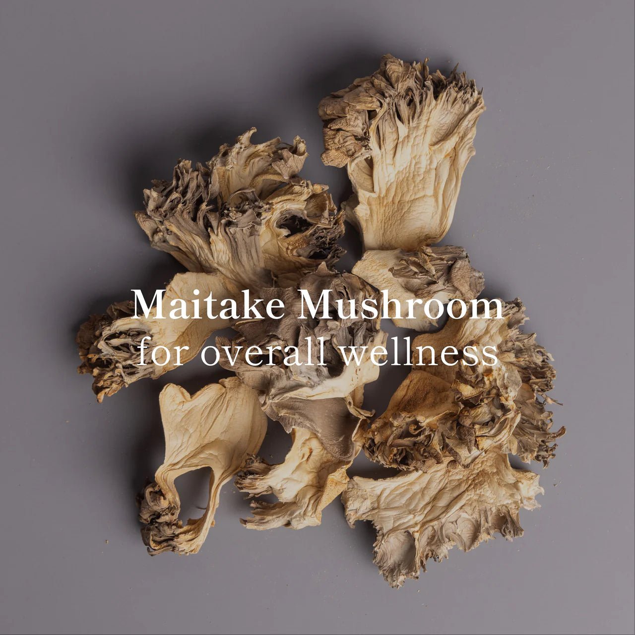 LOCOCO Coco Bag - 1 LB - The Collective Park City