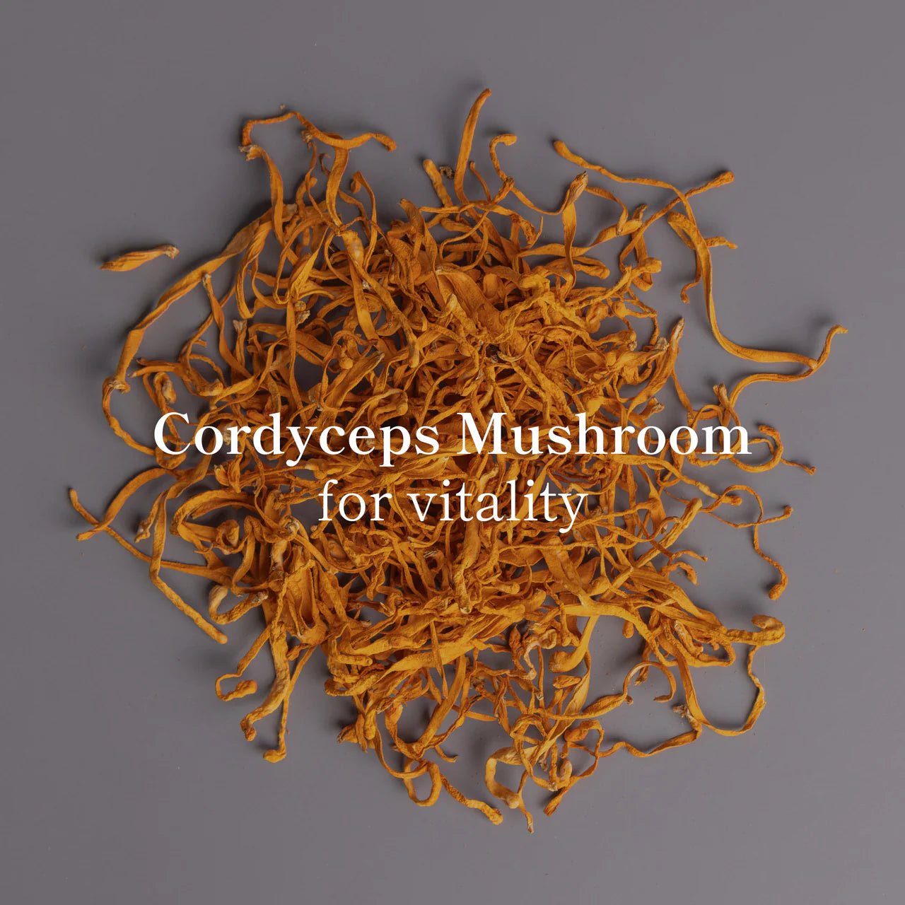 LOCOCO Coco Bag - 1 LB - The Collective Park City