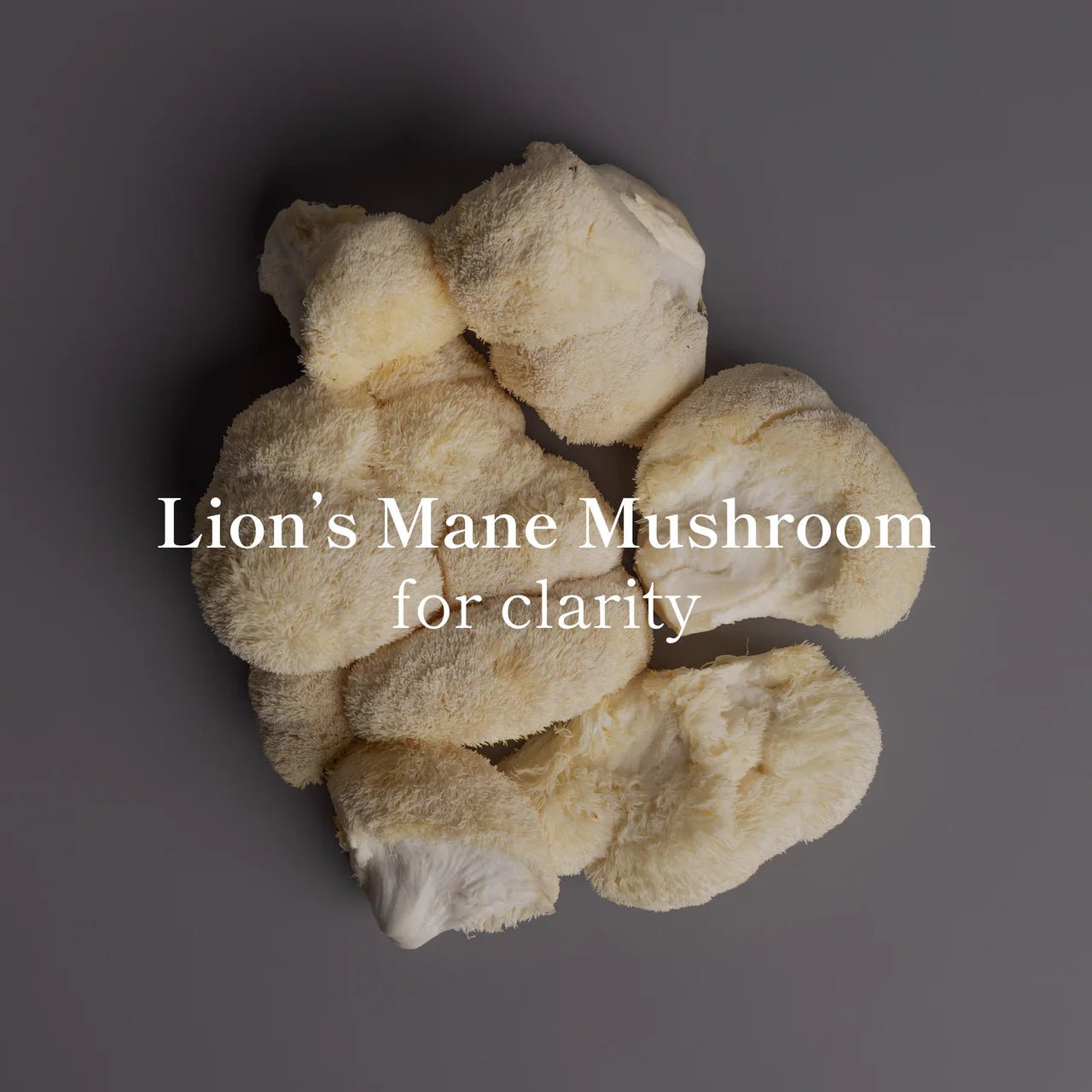 LOCOCO Coco Bag - 1 LB - The Collective Park City