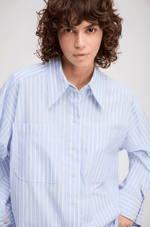 Lynne Pinstripe Button Down Top - The Collective Park City