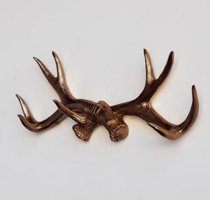 Resin Antler Hook - The Collective Park City