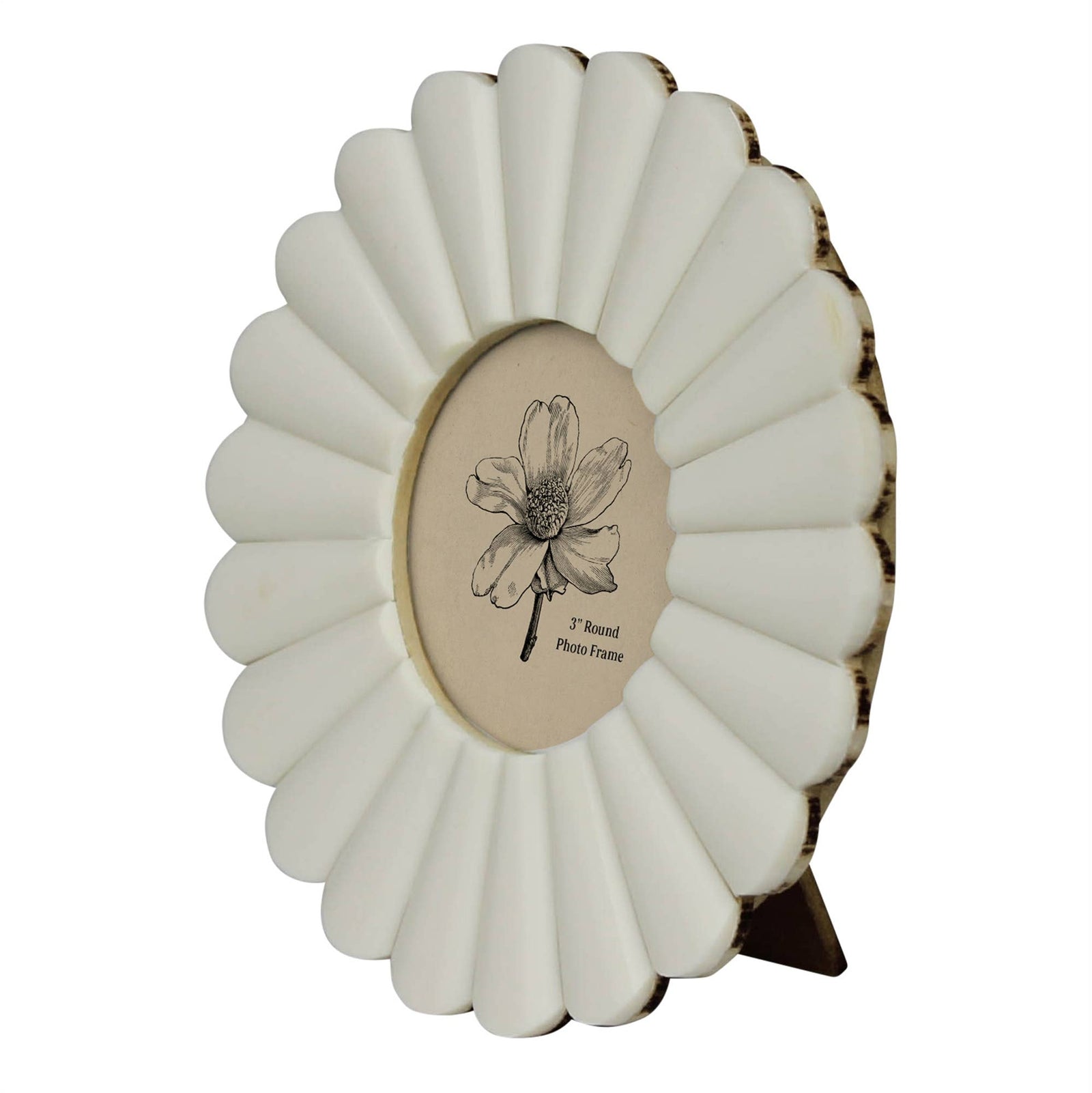 Scalloped Round Frame - 3” - The Collective Park City