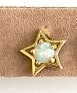 Star Opal Gold Studs - The Collective Park City