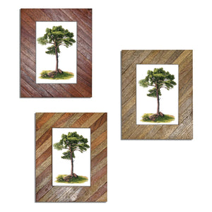 Striped Multi - Wood Photo Frames, assorted 3 , price of each - The Collective Park City
