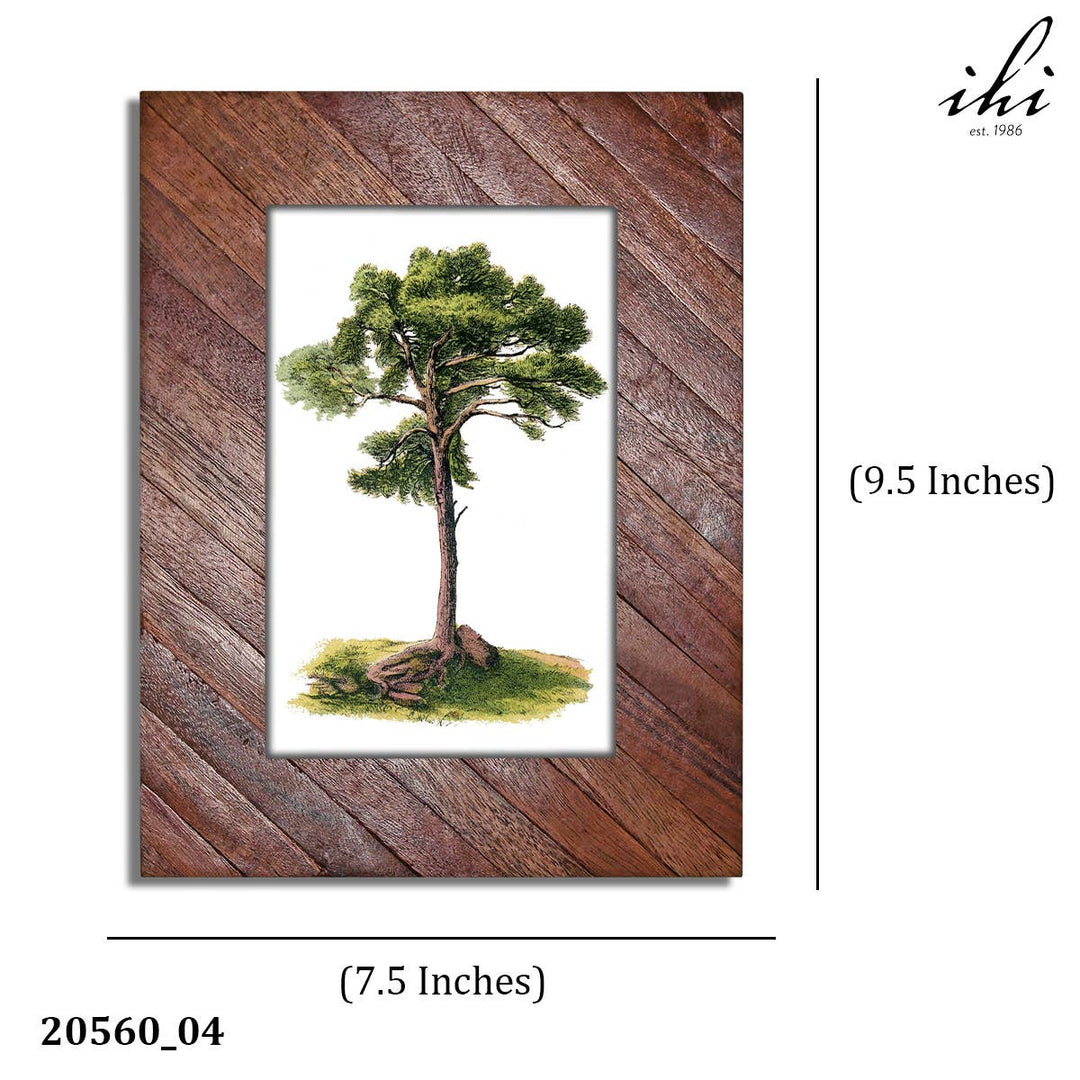 Striped Multi - Wood Photo Frames, assorted 3 , price of each - The Collective Park City