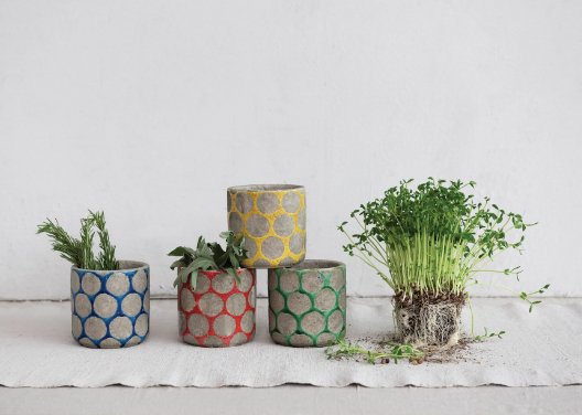 Terra - Cotta Planter with Dots - 4 3/4" - The Collective Park City