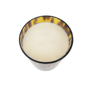 Welcome Home Amber Tortoise Soy Blend Candle - The Collective Park City